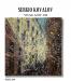Колекція з 9 картин Sergio Kovalov «Графіка міст»